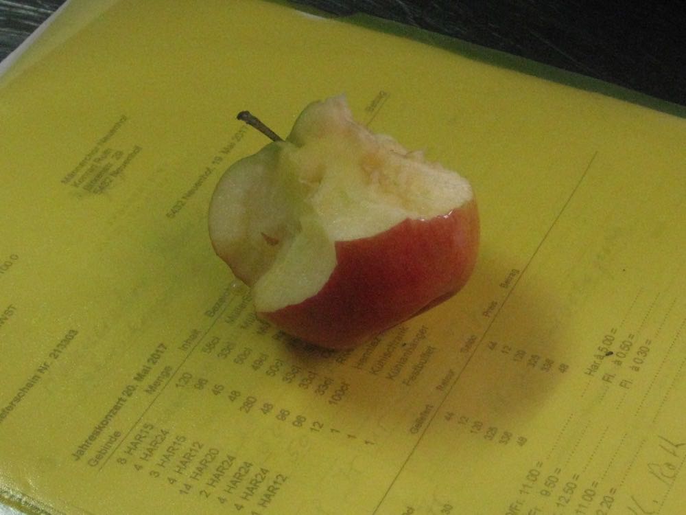 Dieser Apfel spricht für sich. Küchenchef Koni hatte keine Zeit zum fertig essen.